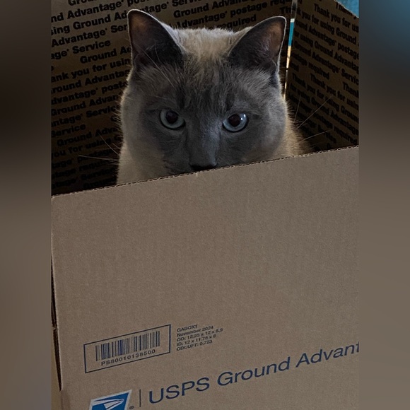 Meet your Posher, Gina - Picture 2 of 6